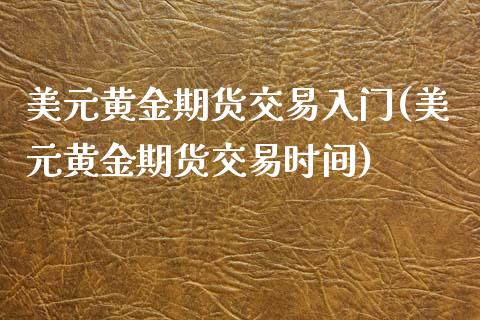 美元黄金期货交易入门(美元黄金期货交易时间)_https://www.liuyiidc.com_理财品种_第1张