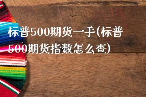 标普500期货一手(标普500期货指数怎么查)_https://www.liuyiidc.com_理财品种_第1张