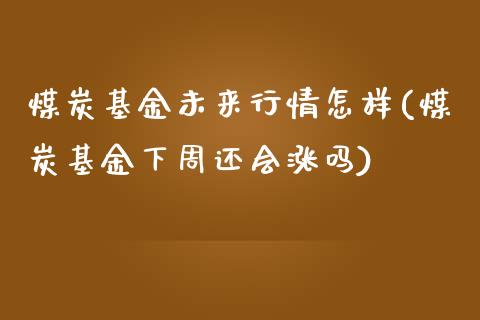 煤炭基金未来行情怎样(煤炭基金下周还会涨吗)_https://www.liuyiidc.com_国际期货_第1张