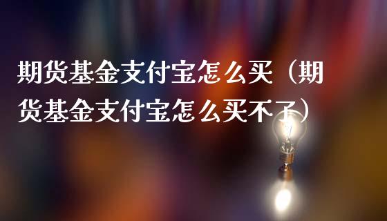 期货基金支付宝怎么买（期货基金支付宝怎么买不了）_https://www.liuyiidc.com_原油直播室_第1张