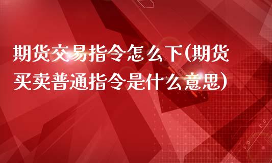 期货交易指令怎么下(期货买卖普通指令是什么意思)_https://www.liuyiidc.com_期货品种_第1张