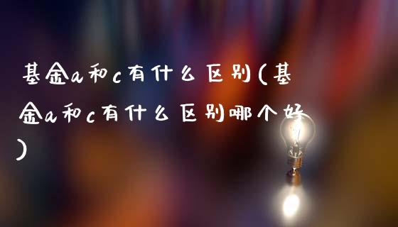 基金a和c有什么区别(基金a和c有什么区别哪个好)_https://www.liuyiidc.com_理财品种_第1张