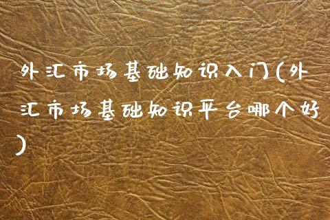 外汇市场基础知识入门(外汇市场基础知识平台哪个好)_https://www.liuyiidc.com_理财品种_第1张