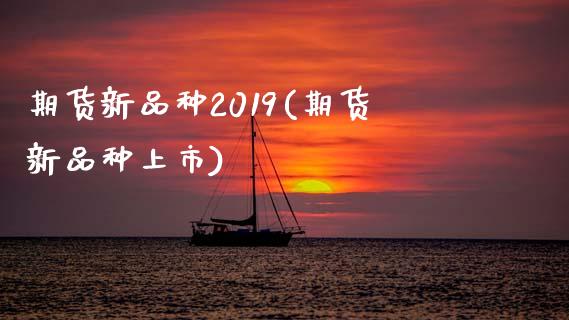 期货新品种2019(期货新品种上市)_https://www.liuyiidc.com_期货理财_第1张