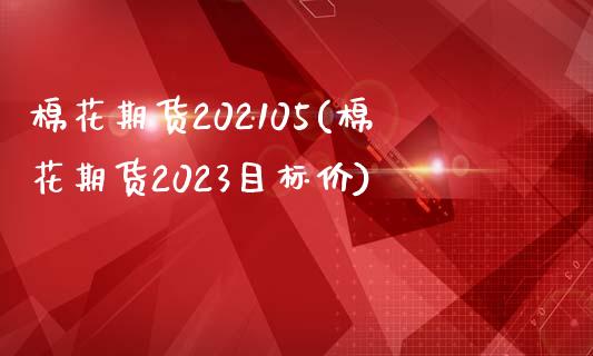 棉花期货202105(棉花期货2023目标价)_https://www.liuyiidc.com_期货软件_第1张