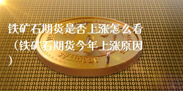 铁矿石期货是否上涨怎么看（铁矿石期货今年上涨原因）_https://www.liuyiidc.com_黄金期货_第1张