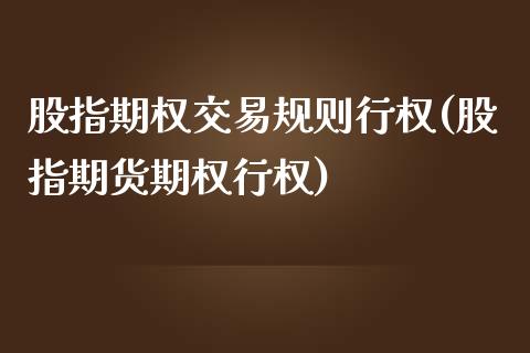 股指期权交易规则行权(股指期货期权行权)_https://www.liuyiidc.com_期货知识_第1张