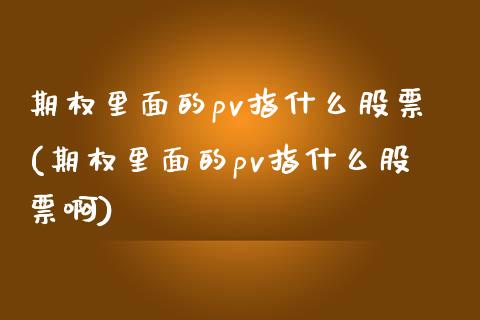 期权里面的pv指什么股票(期权里面的pv指什么股票啊)_https://www.liuyiidc.com_期货品种_第1张