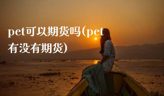 pet可以期货吗(pet有没有期货)_https://www.liuyiidc.com_期货品种_第1张