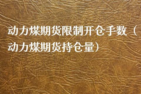 动力煤期货开仓手数（动力煤期货持仓量）_https://www.liuyiidc.com_期货开户_第1张