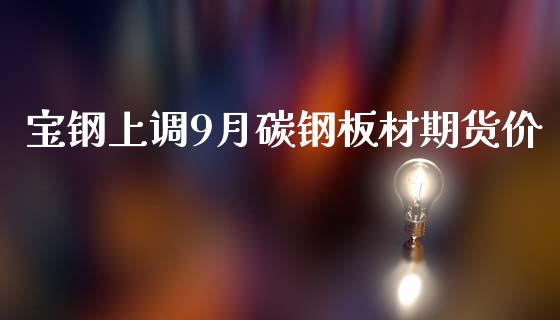 宝钢上调9月碳钢板材期货价_https://www.liuyiidc.com_财经要闻_第1张