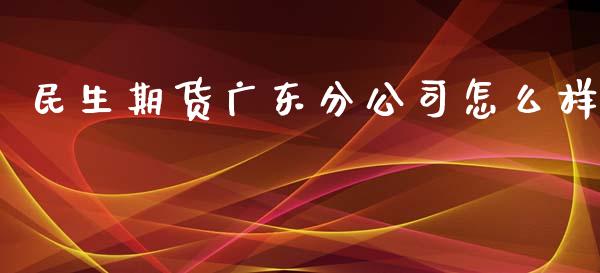 民生期货广东分怎么样_https://www.liuyiidc.com_理财百科_第1张