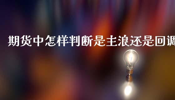 期货中怎样判断是主浪还是回调_https://www.liuyiidc.com_财经要闻_第1张