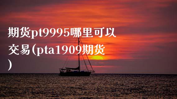 期货pt9995哪里可以交易(pta1909期货)_https://www.liuyiidc.com_基金理财_第1张