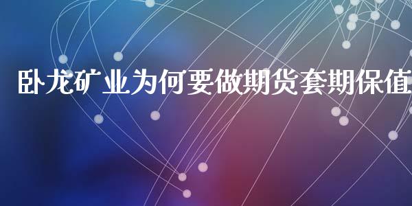 卧龙矿业为何要做期货套期保值_https://www.liuyiidc.com_期货交易所_第1张