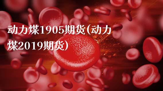 动力煤1905期货(动力煤2019期货)_https://www.liuyiidc.com_期货知识_第1张