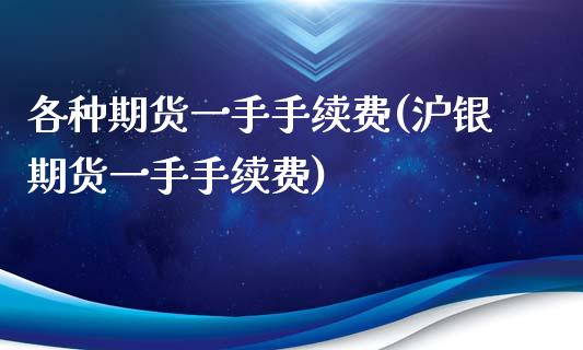 各种期货一手手续费(沪银期货一手手续费)_https://www.liuyiidc.com_期货理财_第1张