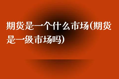 期货是一个什么市场(期货是一级市场吗)_https://www.liuyiidc.com_期货知识_第1张