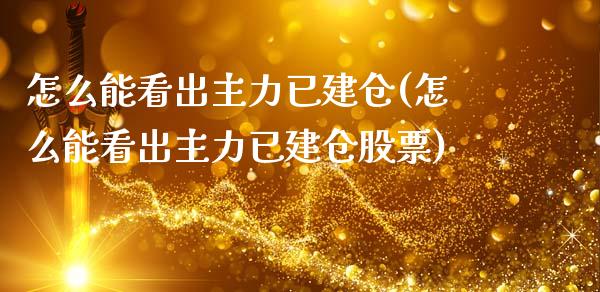 怎么能看出主力已建仓(怎么能看出主力已建仓股票)_https://www.liuyiidc.com_期货直播_第1张