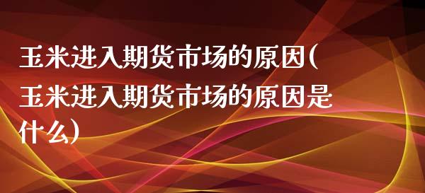 玉米进入期货市场的原因(玉米进入期货市场的原因是什么)_https://www.liuyiidc.com_基金理财_第1张