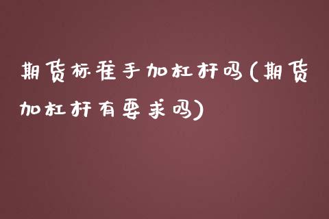 期货标准手加杠杆吗(期货加杠杆有要求吗)_https://www.liuyiidc.com_理财品种_第1张