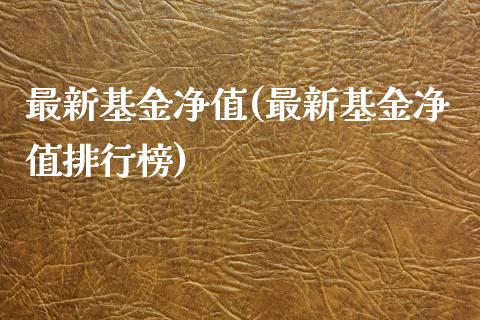 最新基金净值(最新基金净值排行榜)_https://www.liuyiidc.com_股票理财_第1张