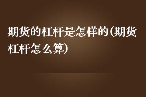 期货的杠杆是怎样的(期货杠杆怎么算)_https://www.liuyiidc.com_期货理财_第1张