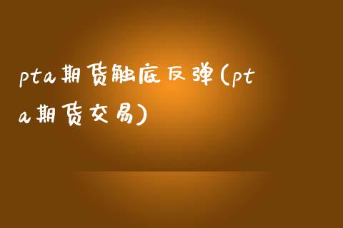 pta期货触底反弹(pta期货交易)_https://www.liuyiidc.com_期货品种_第1张