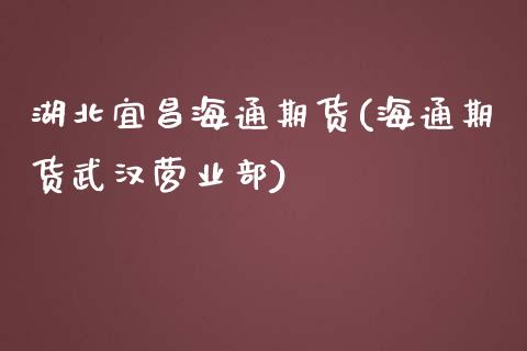 湖北宜昌海通期货(海通期货武汉营业部)