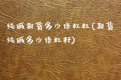 纯碱期货多少倍杠杠(期货纯碱多少倍杠杆)_https://www.liuyiidc.com_理财品种_第1张