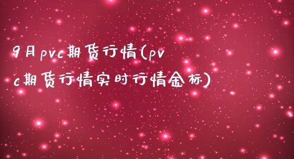 9月pvc期货行情(pvc期货行情实时行情金标)_https://www.liuyiidc.com_期货理财_第1张