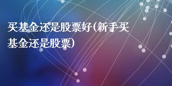 买基金还是股票好(新手买基金还是股票)_https://www.liuyiidc.com_股票理财_第1张