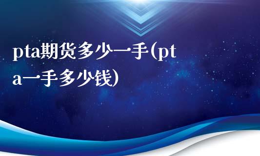 pta期货多少一手(pta一手多少钱)_https://www.liuyiidc.com_理财百科_第1张