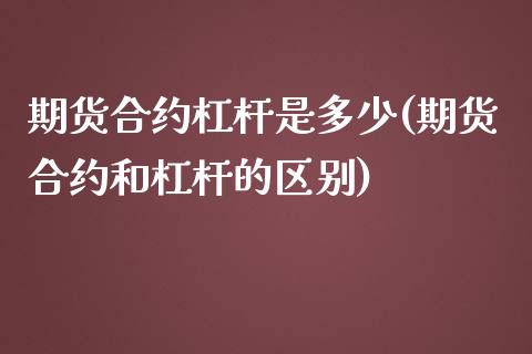 期货合约杠杆是多少(期货合约和杠杆的区别)_https://www.liuyiidc.com_期货知识_第1张