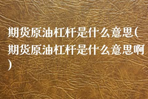 期货原油杠杆是什么意思(期货原油杠杆是什么意思啊)_https://www.liuyiidc.com_财经要闻_第1张