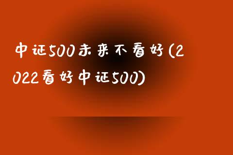 中证500未来不看好(2022看好中证500)_https://www.liuyiidc.com_理财百科_第1张