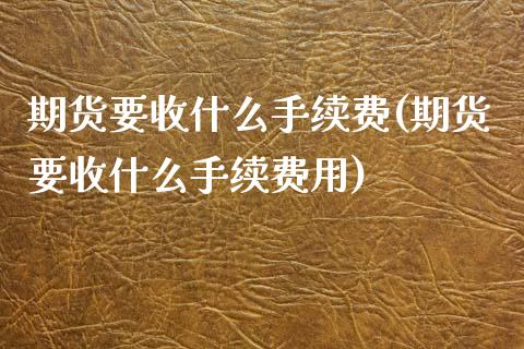 期货要收什么手续费(期货要收什么手续费用)_https://www.liuyiidc.com_道指直播_第1张