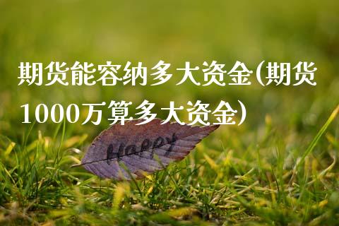 期货能容纳多大资金(期货1000万算多大资金)_https://www.liuyiidc.com_恒生指数_第1张