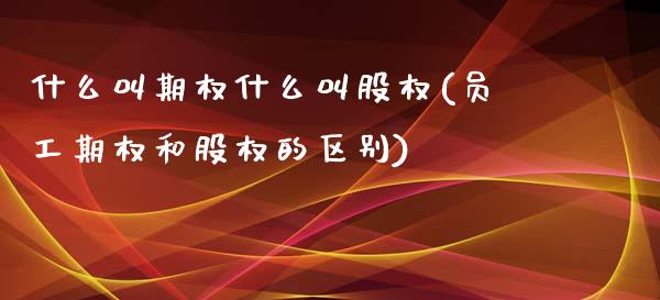 什么叫期权什么叫股权(员工期权和股权的区别)_https://www.liuyiidc.com_恒生指数_第1张