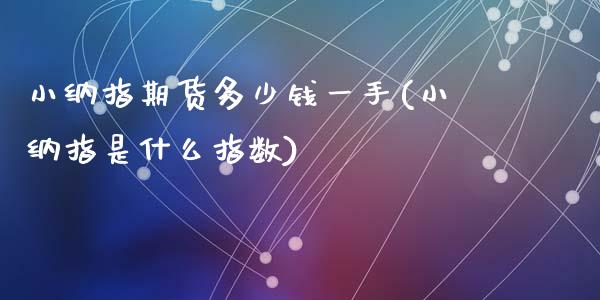 小纳指期货多少钱一手(小纳指是什么指数)_https://www.liuyiidc.com_国际期货_第1张