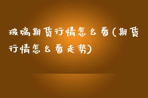 玻璃期货行情怎么看(期货行情怎么看走势)_https://www.liuyiidc.com_期货知识_第1张