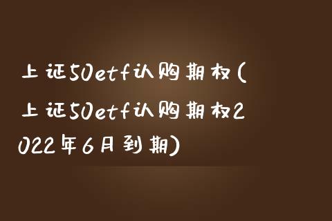 上证50etf**期权(上证50etf**期权2022年6月到期)_https://www.liuyiidc.com_国际期货_第1张