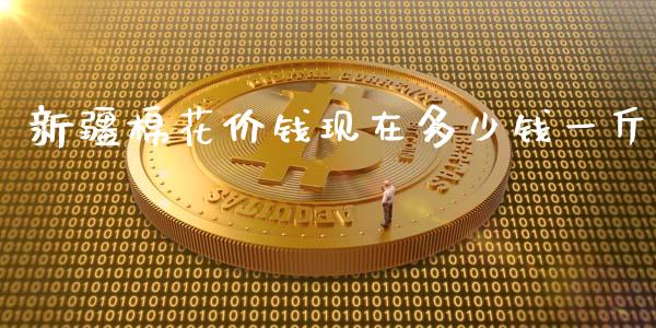 新疆棉花价钱现在多少钱一斤_https://www.liuyiidc.com_期货软件_第1张