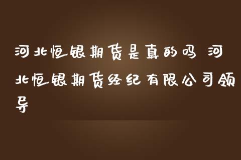 河北恒银期货是真的吗 河北恒银期货经纪有限_https://www.liuyiidc.com_黄金期货_第1张