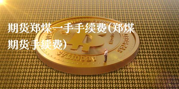 期货郑煤一手手续费(郑煤期货手续费)_https://www.liuyiidc.com_纳指直播_第1张