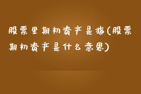 股票里期初资产是指(股票期初资产是什么意思)_https://www.liuyiidc.com_期货品种_第1张