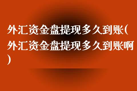 外汇资金盘提现多久到账(外汇资金盘提现多久到账啊)_https://www.liuyiidc.com_基金理财_第1张