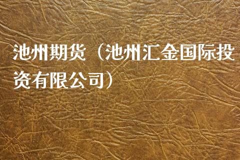 池州期货（池州汇金国际投资有限）_https://www.liuyiidc.com_理财百科_第1张