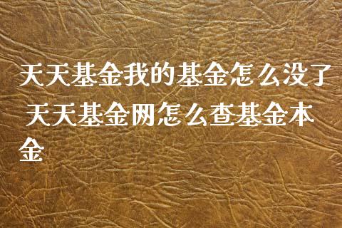 基金我的基金怎么没了 基金网怎么查基金本金_https://www.liuyiidc.com_基金理财_第1张