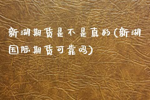 新湖期货是不是真的(新湖国际期货可靠吗)_https://www.liuyiidc.com_国际期货_第1张